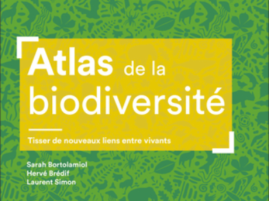 Prochain midi de Géotéca : Présentation de l’Atlas de la biodiversité – jeudi 28 mai à13h